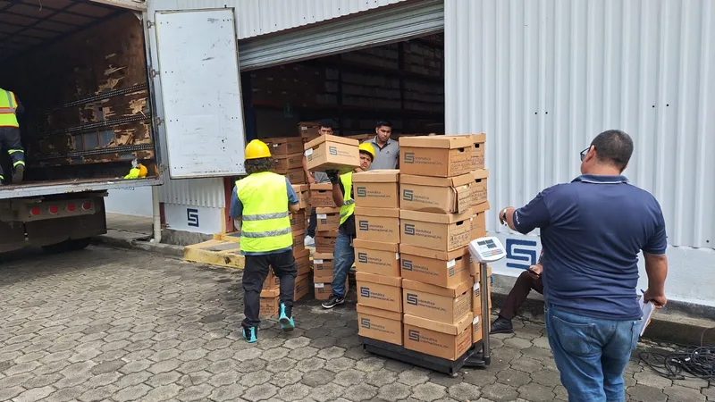 Carga o descarga de cajas desde un contenedor.